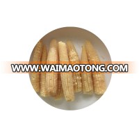 Canned young corn whole spears baby corn good price