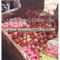 high quality fresh sweety apples wholesale price