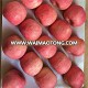 high quality new crop fuji apple