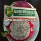 BEST QUALITY fresh frozen DRAGON FRUIT WITH MOST COMPETITIVE PRICE