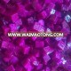 Good price for IQF DRAGON FRUIT DICE / PITAYA with high quality