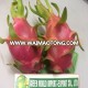 BEST PRICE FRESH frozen DRAGON FRUIT: CUBE , SLICE. WITH HIGH QUALITY